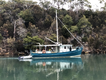 Sea going operational experience in the fishing industry