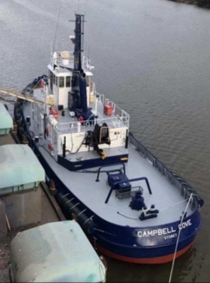 Sea going operational experience in the towage industry